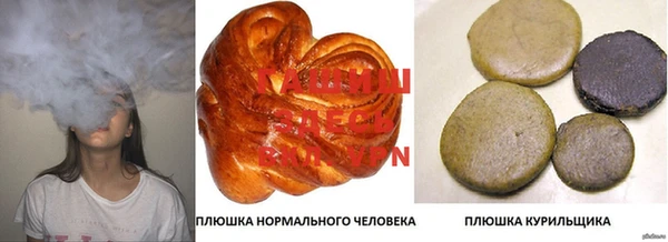 спиды Заводоуковск
