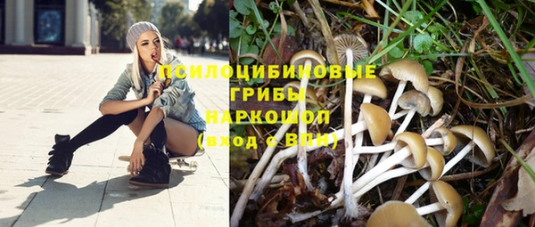 каннабис Заволжье