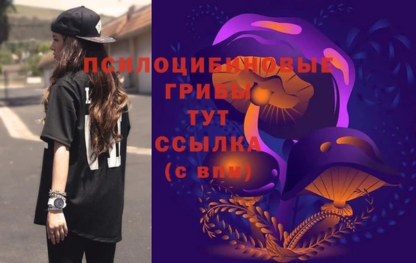 спиды Заводоуковск