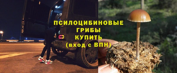 спиды Заводоуковск